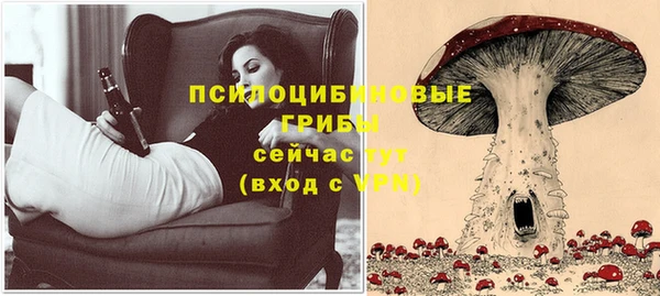 мескалин Пестово